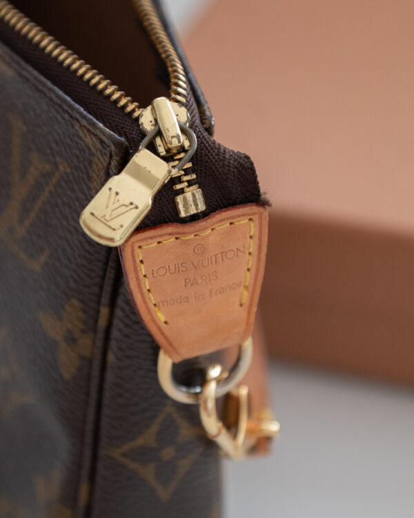 DSC_8728 Louis Vuitton Pochette Accessories Monogram M51980